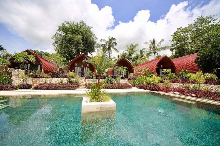 Jungle Paradise