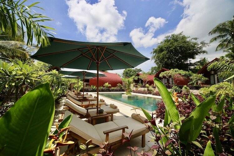 Jungle Paradise