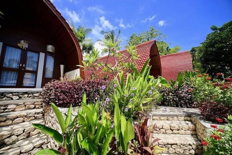 Jungle Paradise
