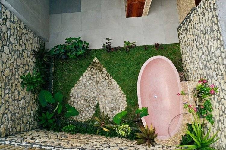 Jungle Paradise