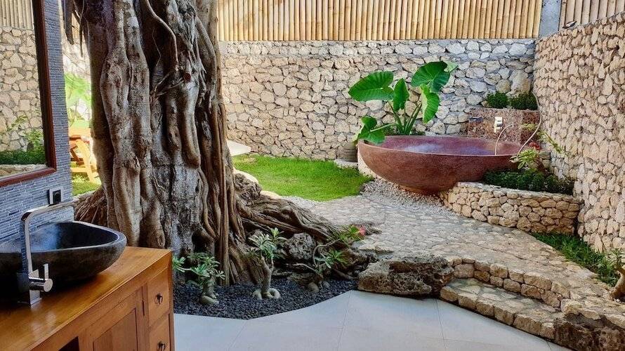 Jungle Paradise