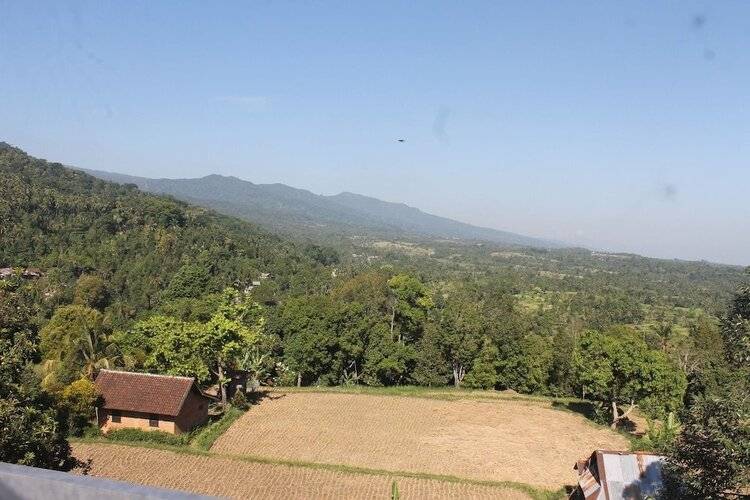 Mandhasativa Homestay