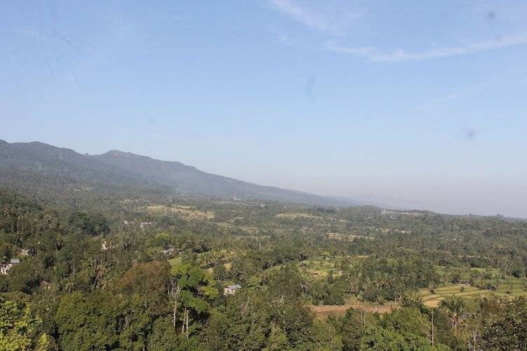 Mandhasativa Homestay