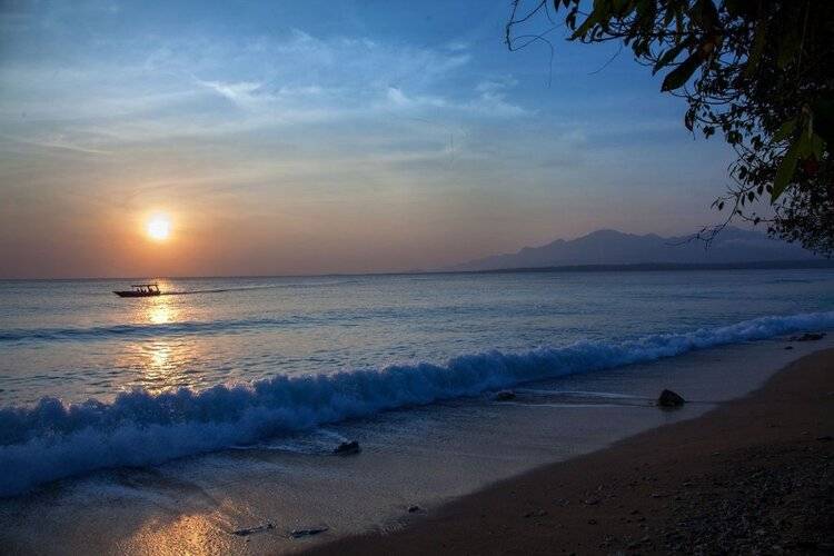 Nusabay Menjangan By Whm