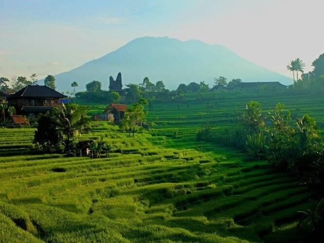 Sawah Indah Villa