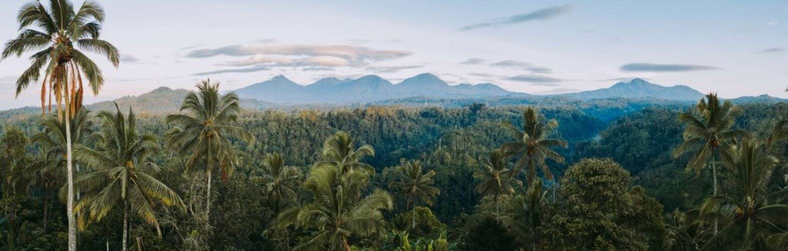 Buahan, A Banyan Tree Escape (Adults Only 18+)