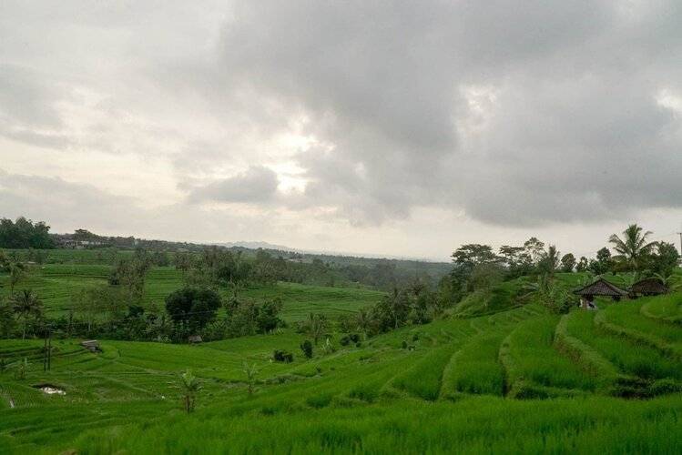 Damara Villa - Jatiluwih