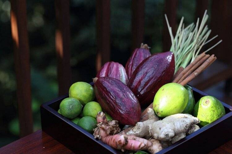 Hanging Gardens Of Bali - Chse Certified