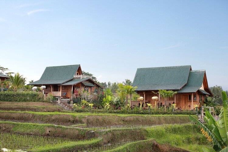 Ti Amo Bali
