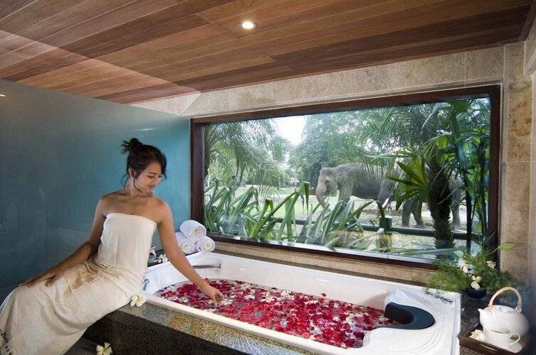 Mason Elephant Lodge