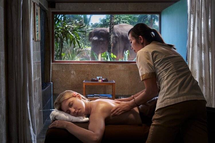 Mason Elephant Lodge