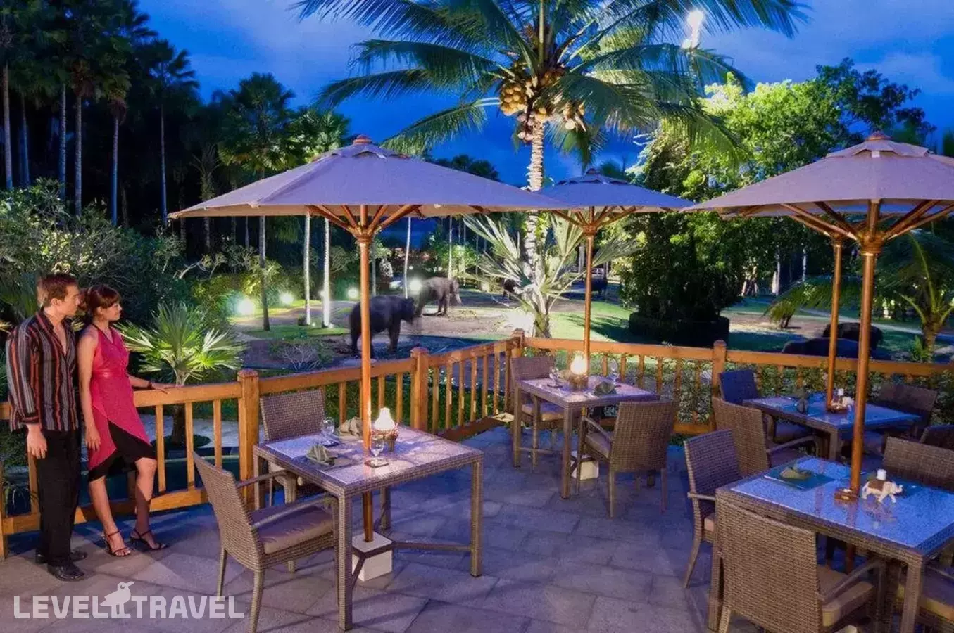 Mason Elephant Lodge