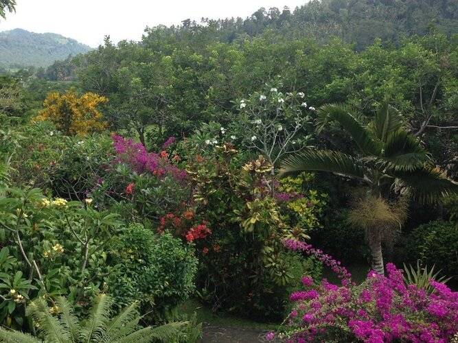 Nirarta Centre For Living Awareness