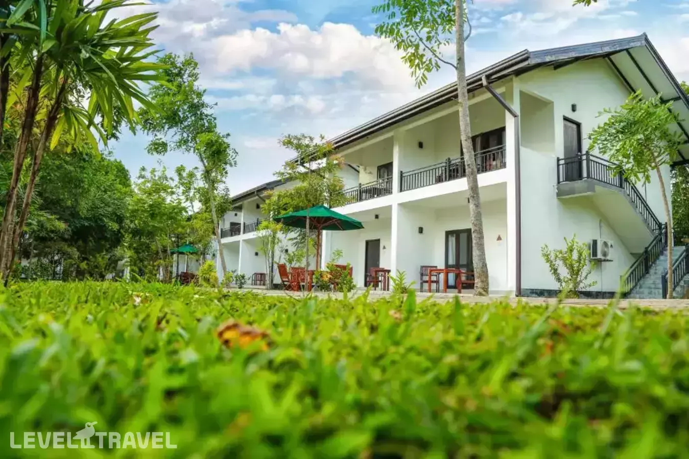 Oak Ray Elephant Lake