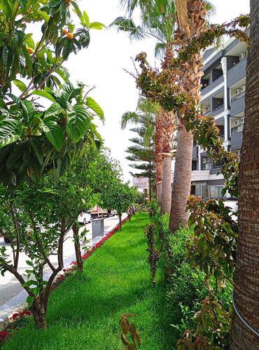 Sun Beach Hill