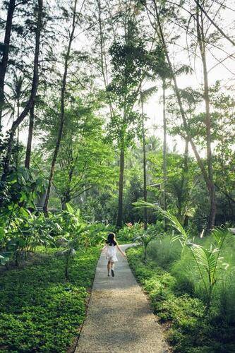 Avani+ Khao Lak Resort