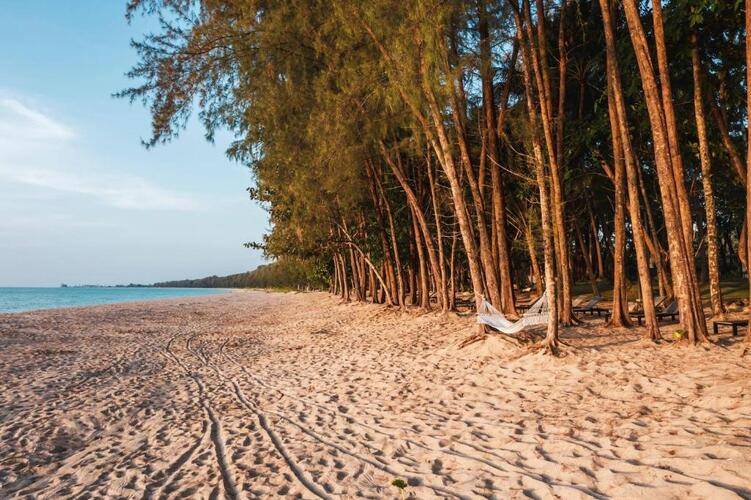 Avani+ Khao Lak Resort