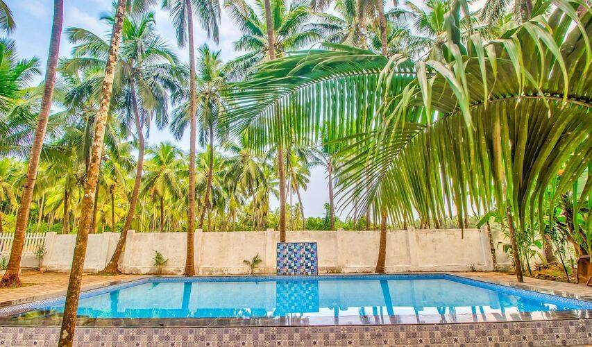Arambol Paradise Village