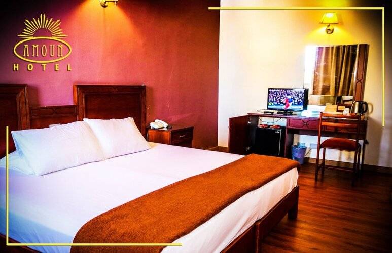 Amoun Hotel Alexandria