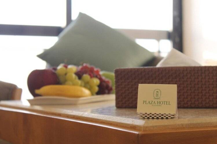 Plaza Hotel Alexandria