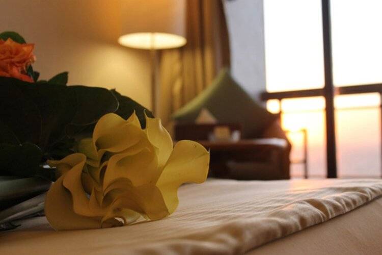 Plaza Hotel Alexandria