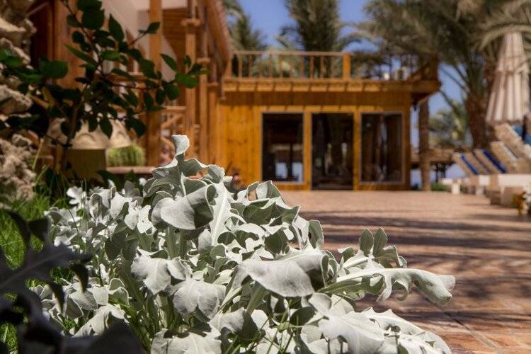 Acacia Dahab Hotel