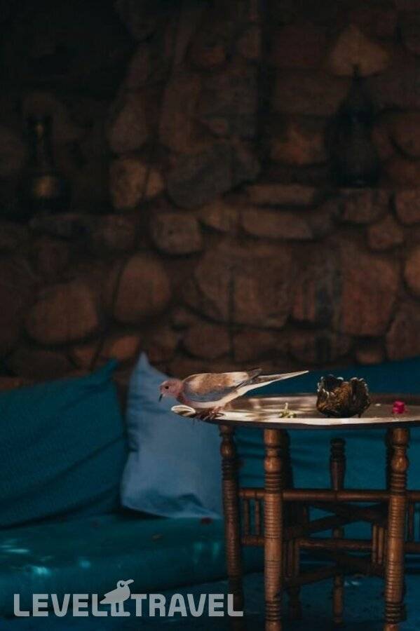 фотографии отеля Alf Leila Boutique Hotel в Египет(Дахаб) - фото №10