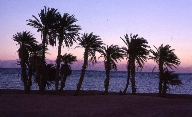 Star Of Dahab