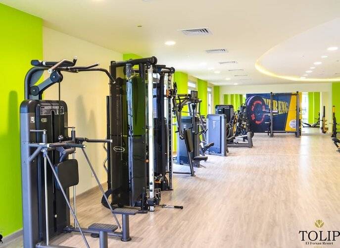Tolip El Forsan Hotel