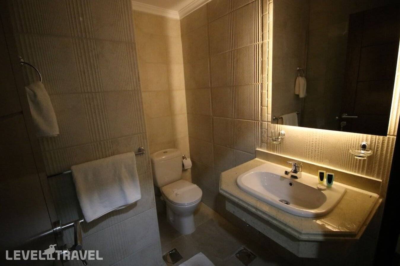 фотографии отеля Miramar Talaat Harb в Египет(Каир) - фото №21