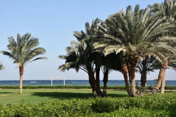 Fiord Club Resort & Spa (Ex.Nuweiba Club Resort)