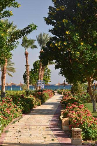 Fiord Club Resort & Spa (Ex.Nuweiba Club Resort)