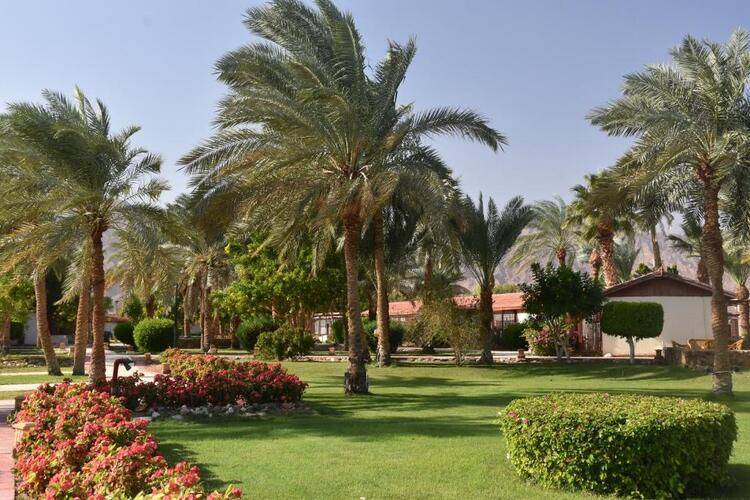 Fiord Club Resort & Spa (Ex.Nuweiba Club Resort)