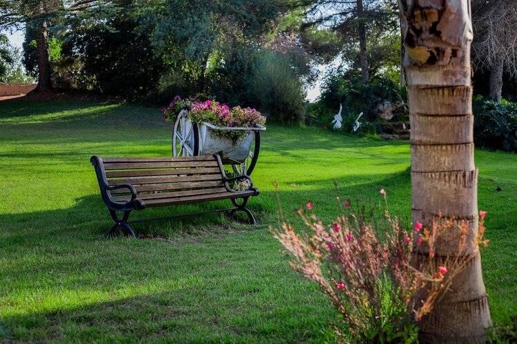 Hacienda Forestview
