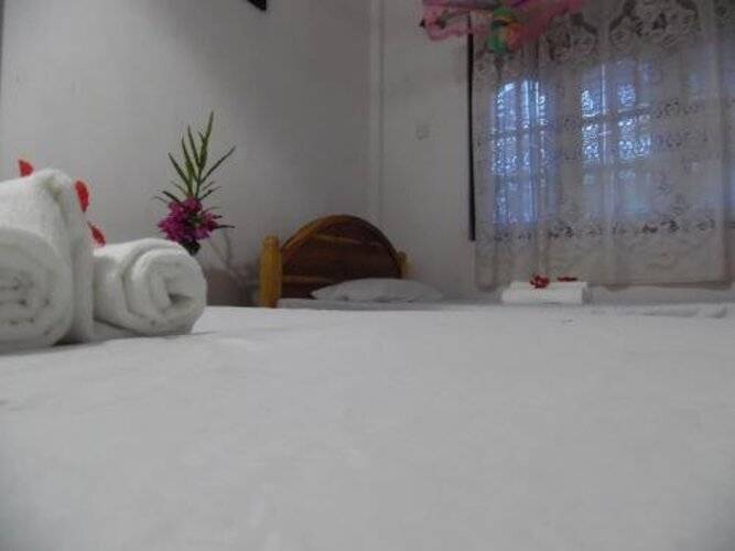 Little Guest