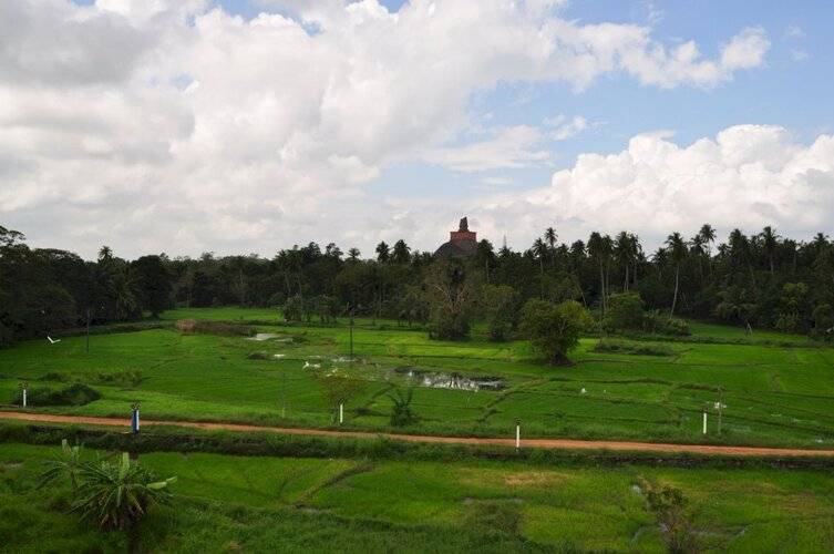 Nilketha Villa Eco Hotel