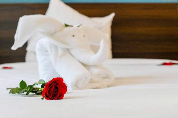 Hoi An Dream City Hotel