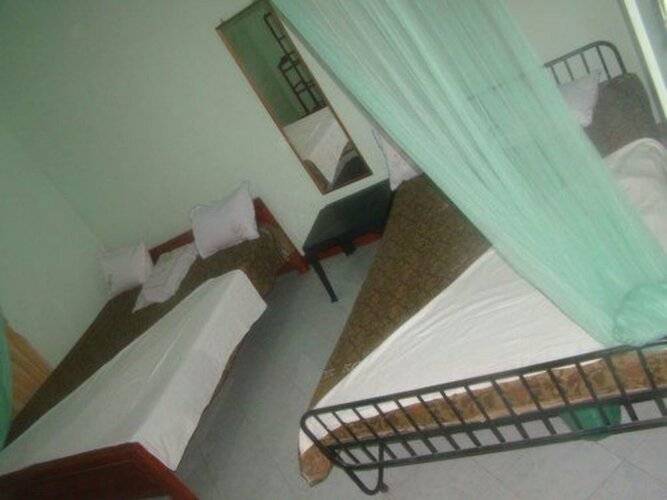 Alp Guest