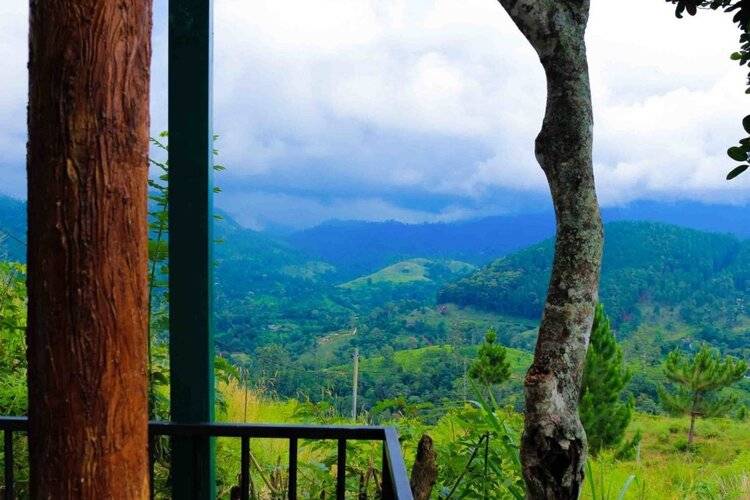 Hill Forest Cottage