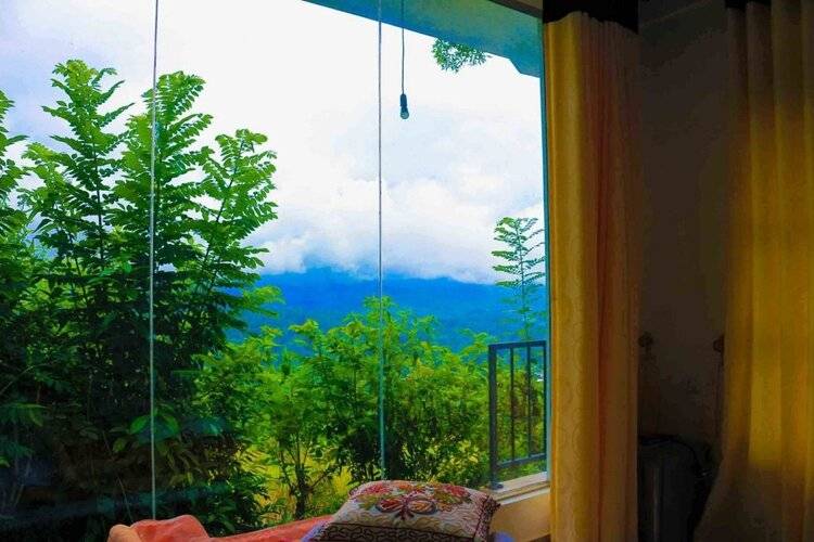 Hill Forest Cottage