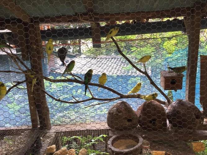 Ella Nature Nest