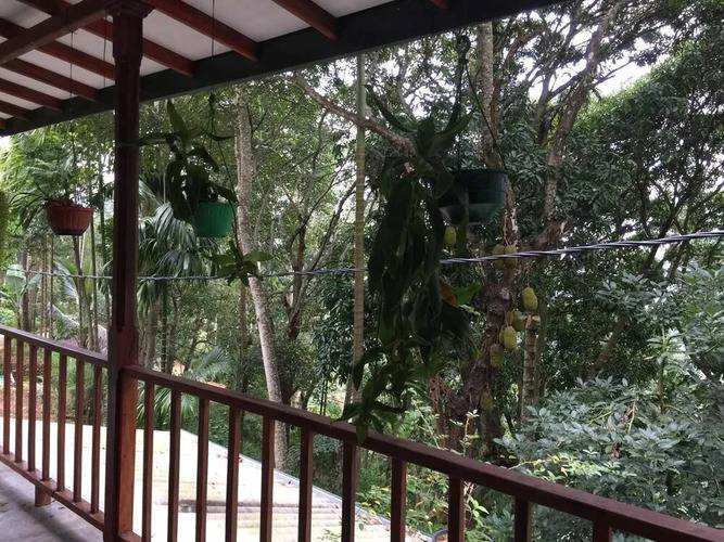 Ella Nature Nest