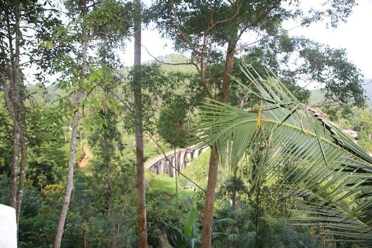 Senevi 9 Arch Homestay