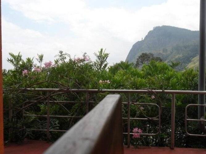 Tea Garden Holiday Inn