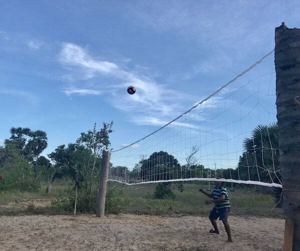 The Coconut