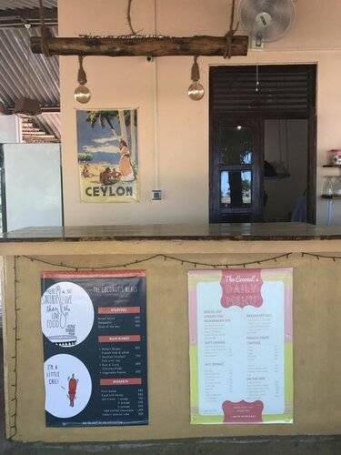 The Coconut