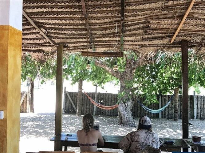 The Coconut
