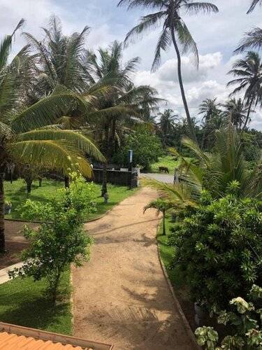 C J Beach Resort