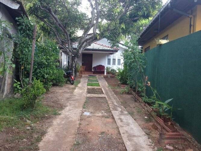 Villahredpalm