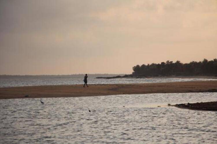 Blue Whale Beach Boutique Resort